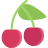 Cherry / Raspberry