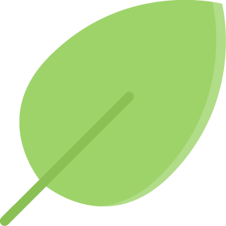 TOP grün (chypre-artig)