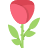 ML Rose