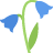 Blume - Iris